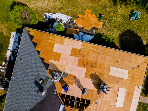 Best Shingle Roofing Installation  in Long Branch, VA