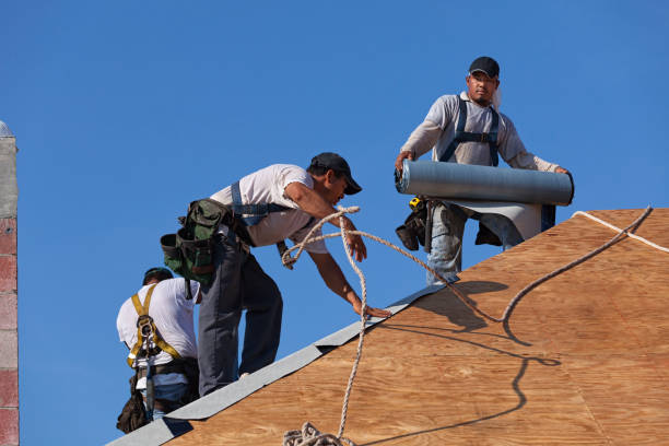 Best Commercial Roofing Services  in Long Branch, VA
