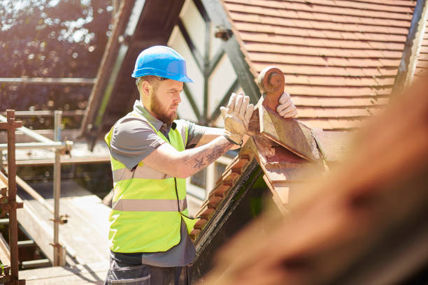 Best Roof Leak Repair  in Long Branch, VA