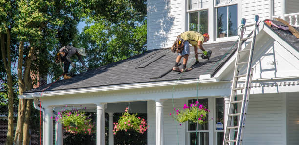 Best Gutter Installation and Roofing  in Long Branch, VA